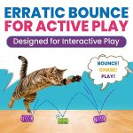 HA-SHI-160pc-Cat-Spring-Toys-Spiral-Coils-for-Indoor-Cats-Kittens-B0H1QHSZP7-3