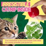 HA-SHI-40-Count-Catnip-Fur-Balls-for-Indoor-Cats-18-Inch-Soft-Plush-Interactive-Kitten-Toy-Quiet-Night-Play-Colorful-B0GWLTJ9DY-2