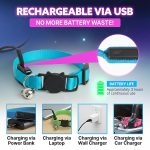 HA-SHI-LED-Cat-Collar-with-Bell-USB-Rechargeable-3-Flashing-Modes-Breakaway-Safety-Buckle-Lightweight-Glow-in-Dar-B0GH77PPBL-3