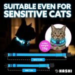 HA-SHI-LED-Cat-Collar-with-Bell-USB-Rechargeable-3-Flashing-Modes-Breakaway-Safety-Buckle-Lightweight-Glow-in-Dar-B0GH77PPBL-6