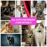 HA-SHI-LED-Cat-Collar-with-Bell-USB-Rechargeable-3-Flashing-Modes-Breakaway-Safety-Buckle-Lightweight-Glow-in-Dar-B0GH77PPBL-8