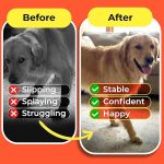 HASHI-Dog-Paw-Grips-Anti-Slip-for-Hardwood-Tile-Floors-Self-Adhesive-Elastic-Traction-Pads-for-Senior-Dogs-Pet-Mobilit-B0H3ZFTDBP-7